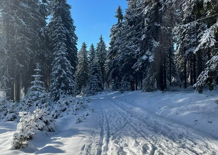 Chalet Lazenka Pernink