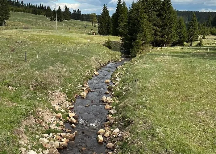 Lazenka *