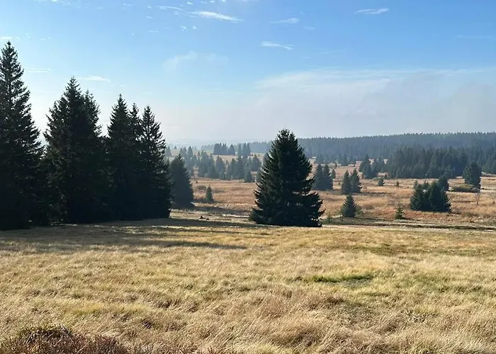 Lazenka